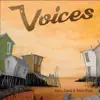 Barry Davis and Sean Ryan - Voices